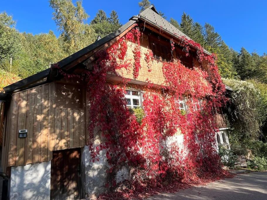 Auszeit Am Kreisbach Apartman Triberg im Schwarzwald Kültér fotó